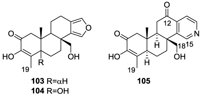 Figure 24