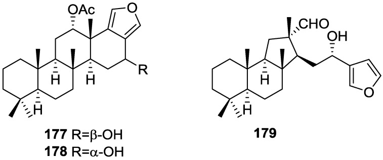 Figure 52