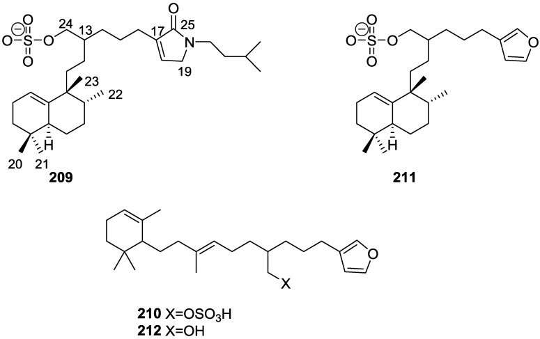 Figure 61