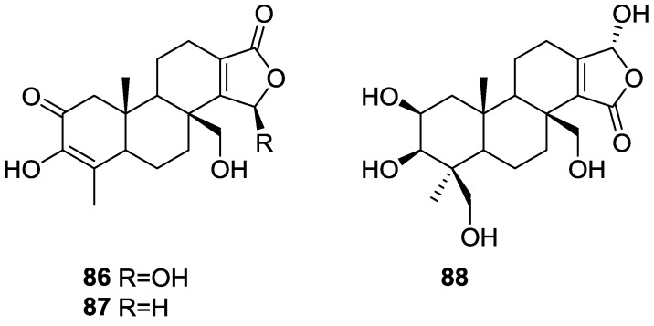 Figure 20