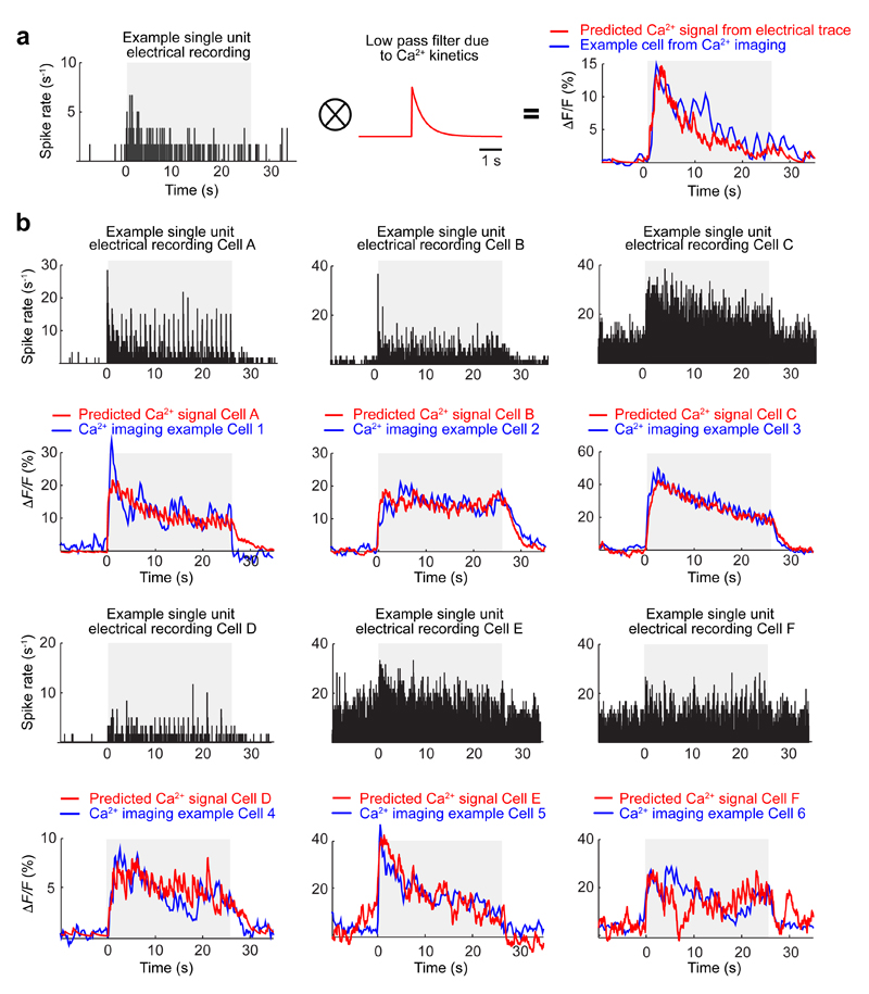 Extended Data Fig. 4