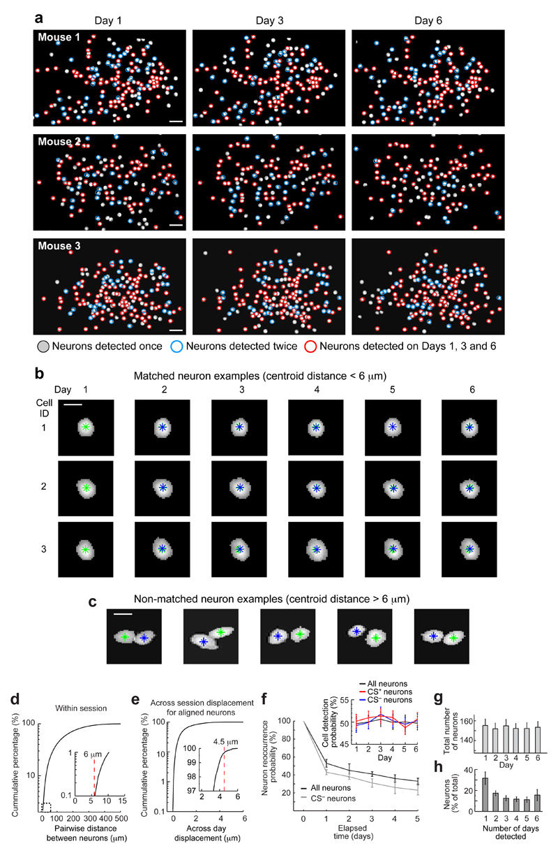 Extended Data Fig. 5