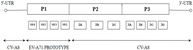 graphic file with name viruses-10-00320-i005.jpg