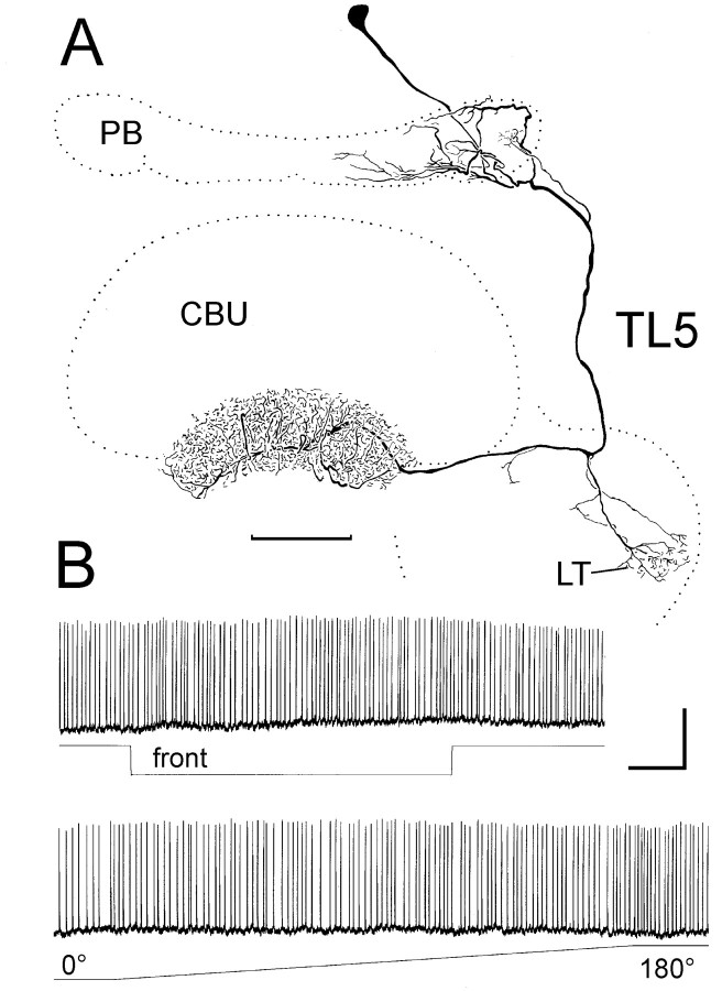 Fig. 5.