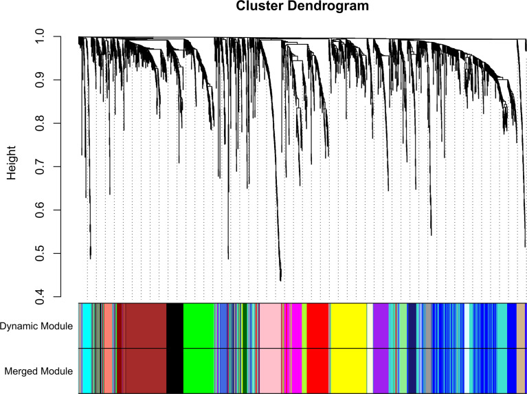 Figure 4