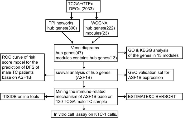 Figure 1