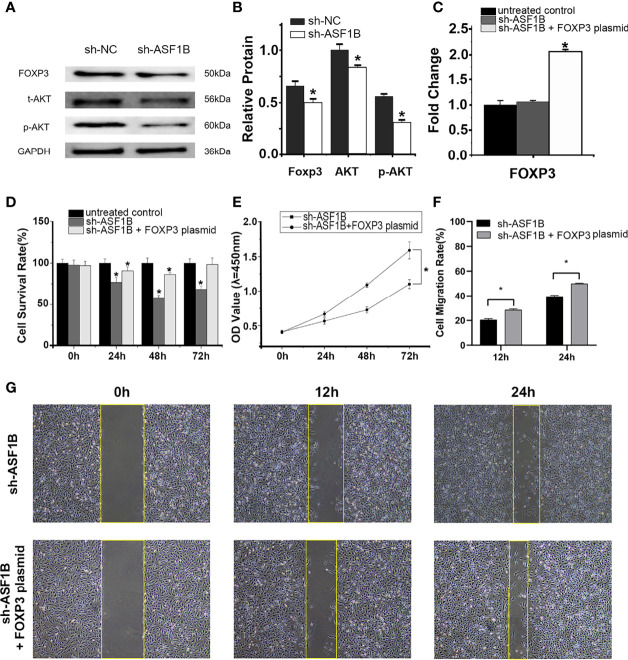 Figure 12