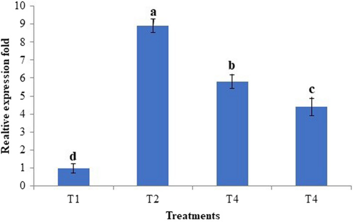 FIGURE 4