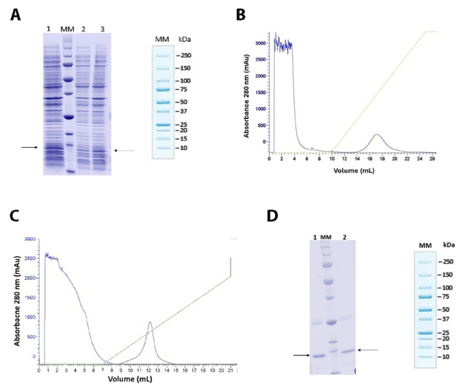 Figure 3. 