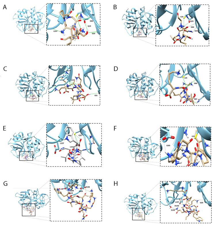Figure 6. 