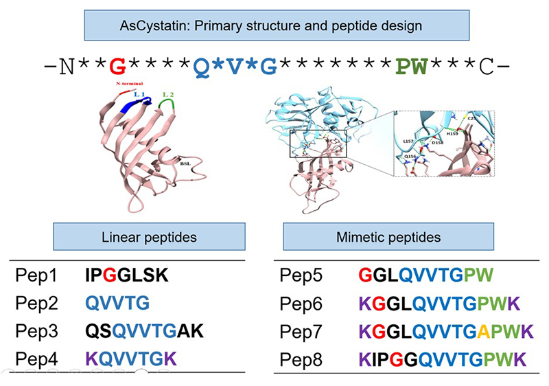 Figure 5. 