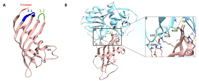 Figure 2. 