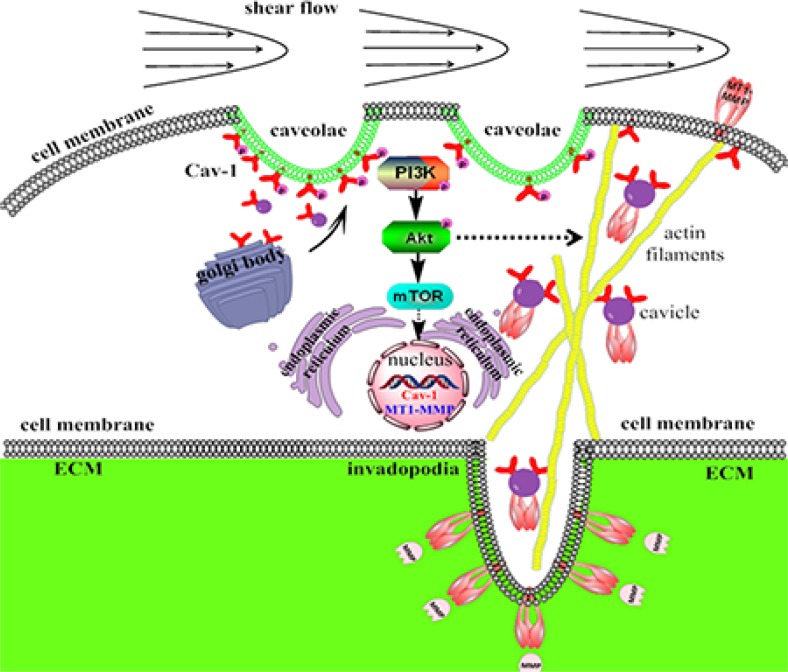 Figure 14