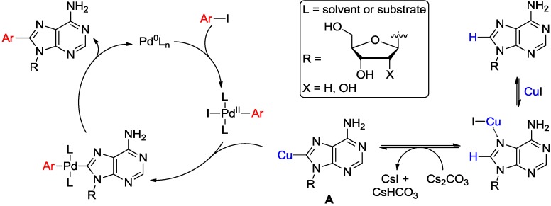 Scheme 6