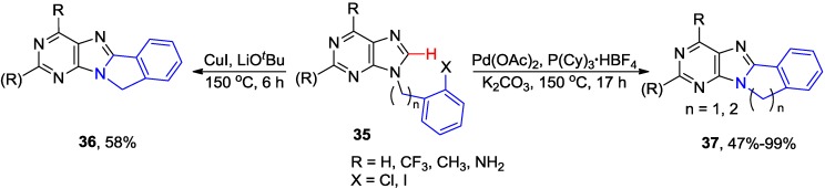 Scheme 11