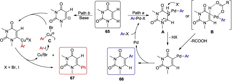 Scheme 25