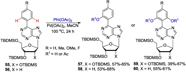 Scheme 20