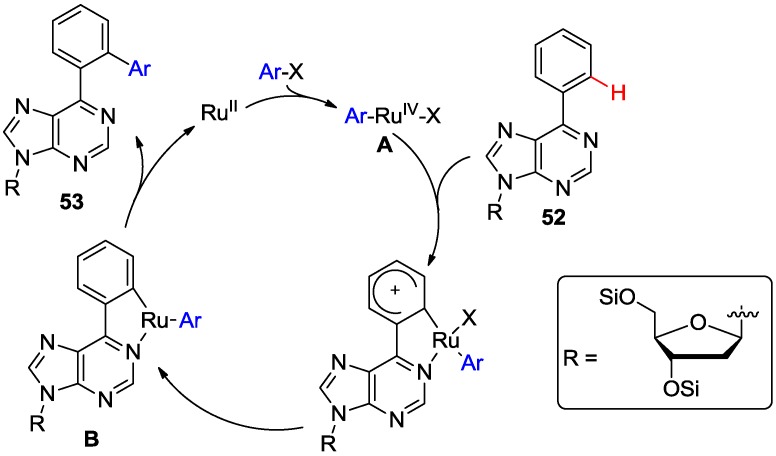 Scheme 19