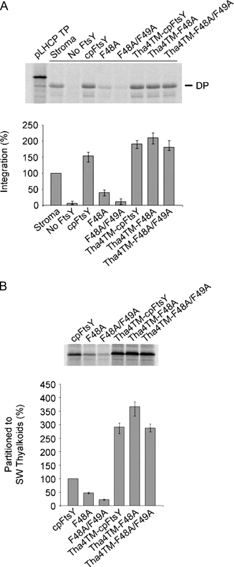 FIGURE 7.