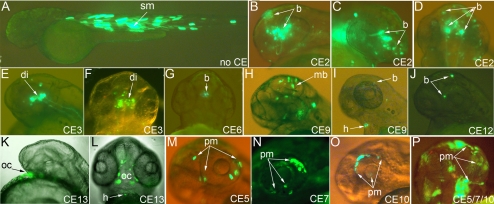 Figure 3.