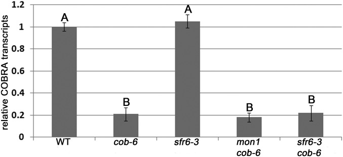 Fig. S3.