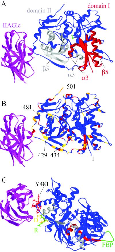 Fig 1.