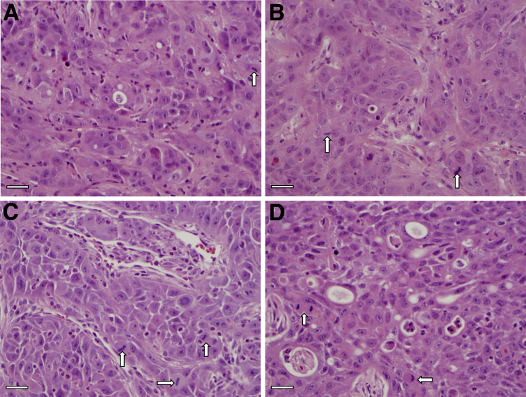 Figure 6