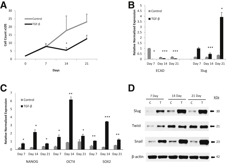 Figure 3