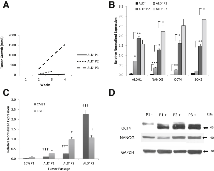 Figure 5