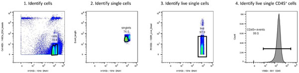 Figure 5: