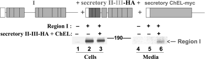 FIGURE 9.