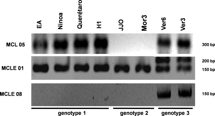 FIG. 1.