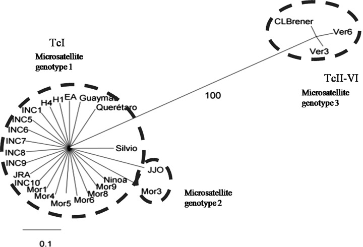 FIG. 2.