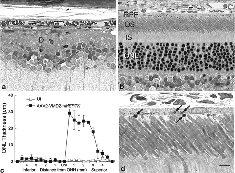 Fig. 65.1