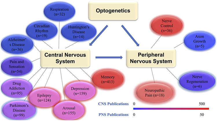 Figure 1: