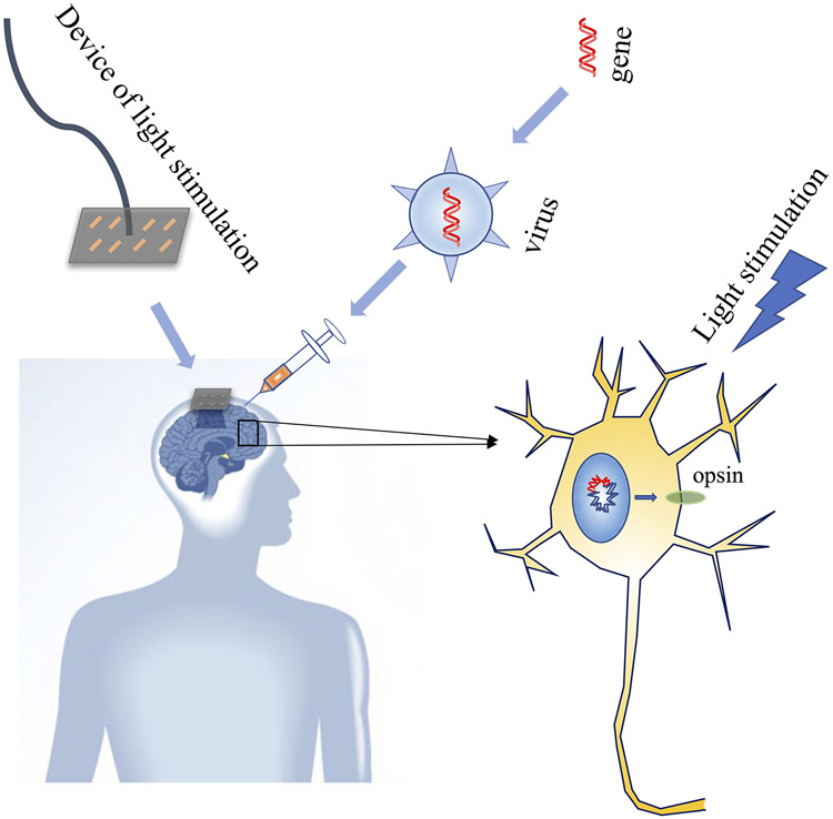 Figure 3: