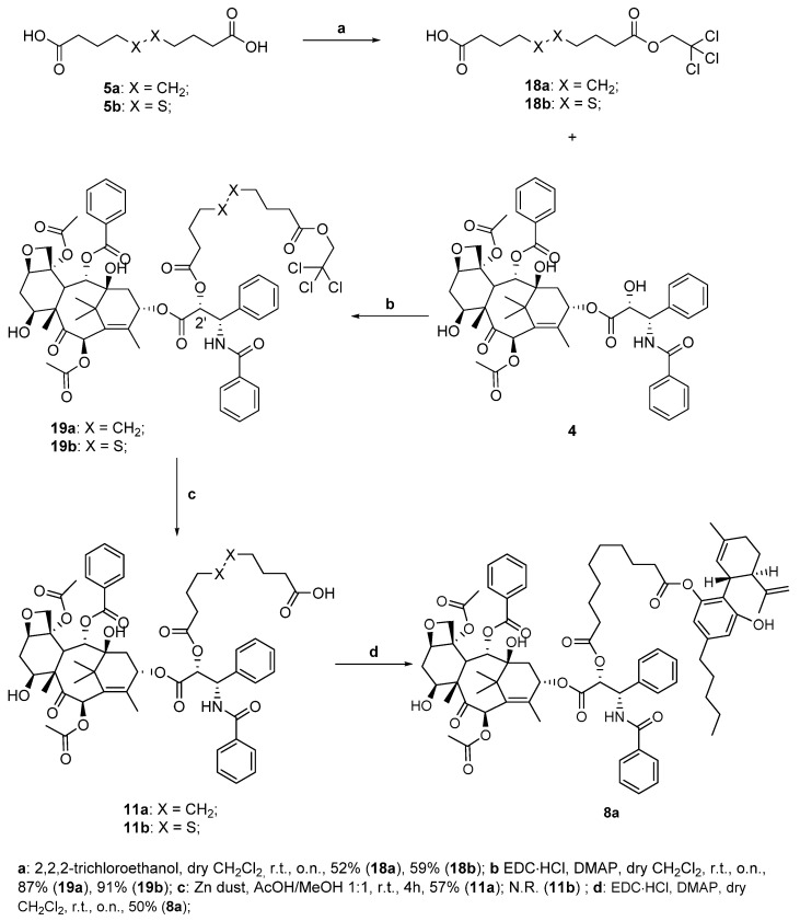 Scheme 5