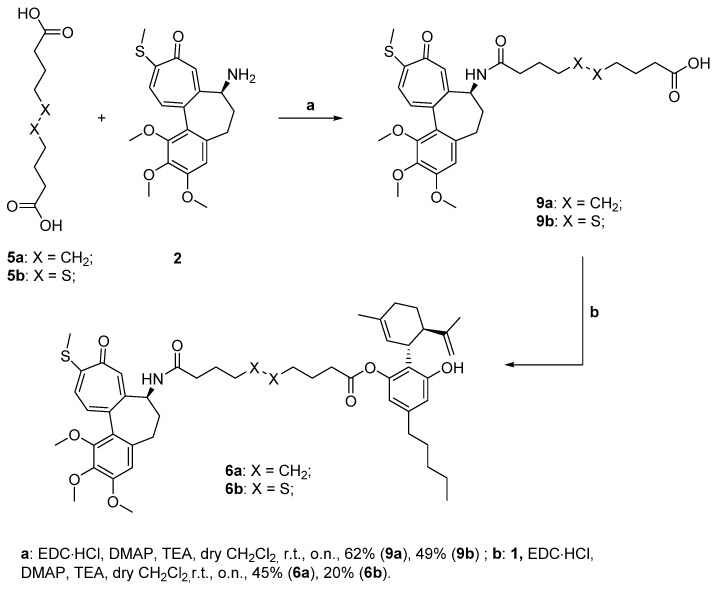 Scheme 2