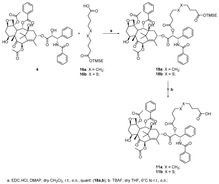 Scheme 4