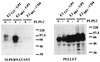 FIG. 10