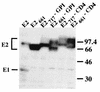 FIG. 11