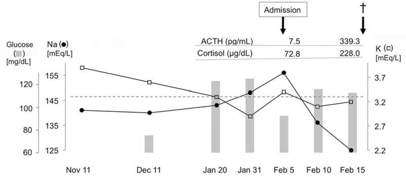 FIGURE 1