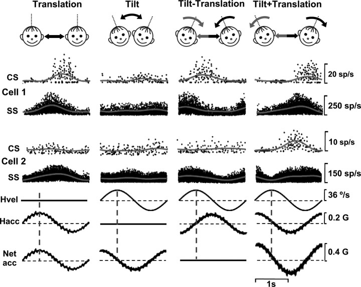 Figure 10.