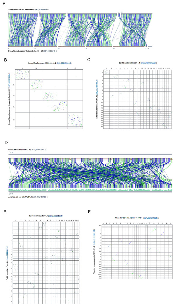 Fig 3.