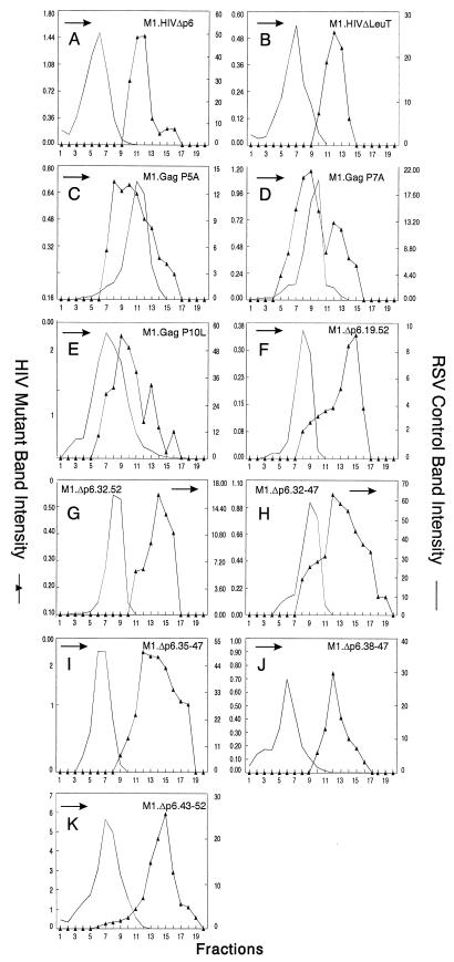 FIG. 6