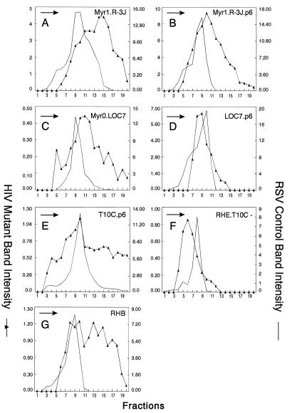 FIG. 8