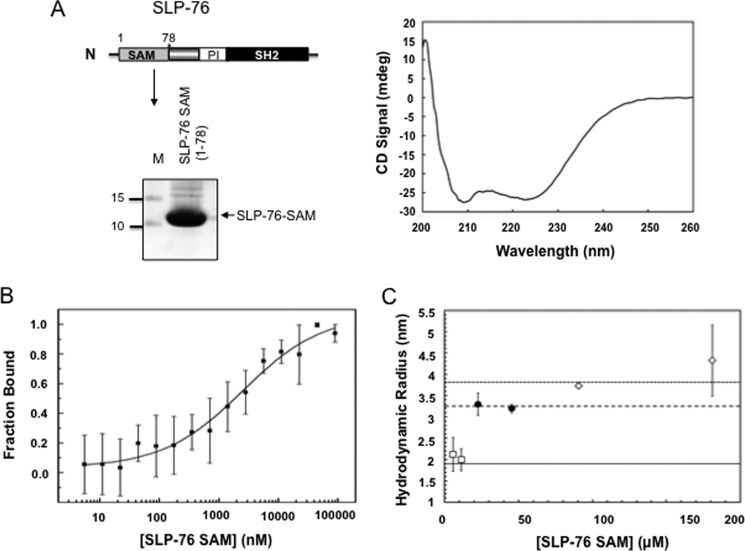 FIGURE 1.