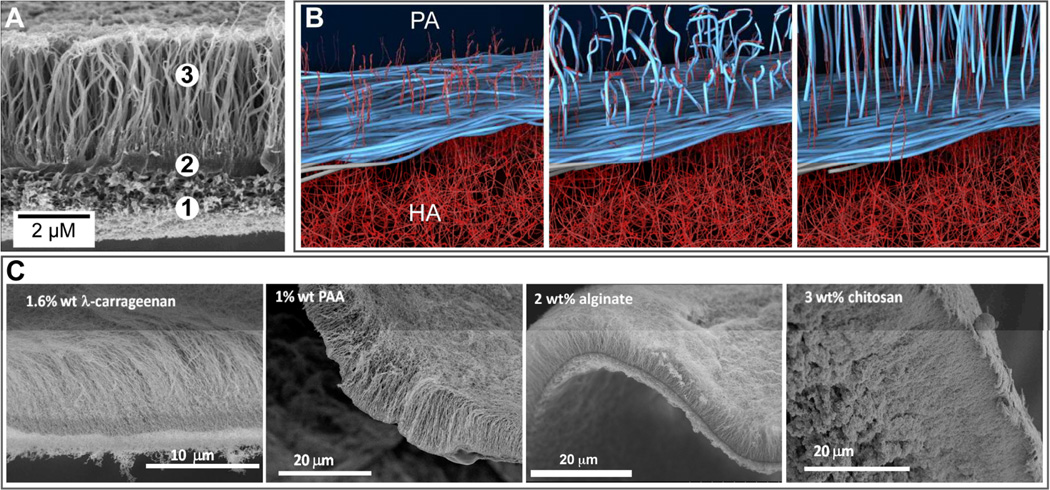 Fig. 9