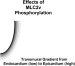 graphic file with name nihms700045t1.jpg