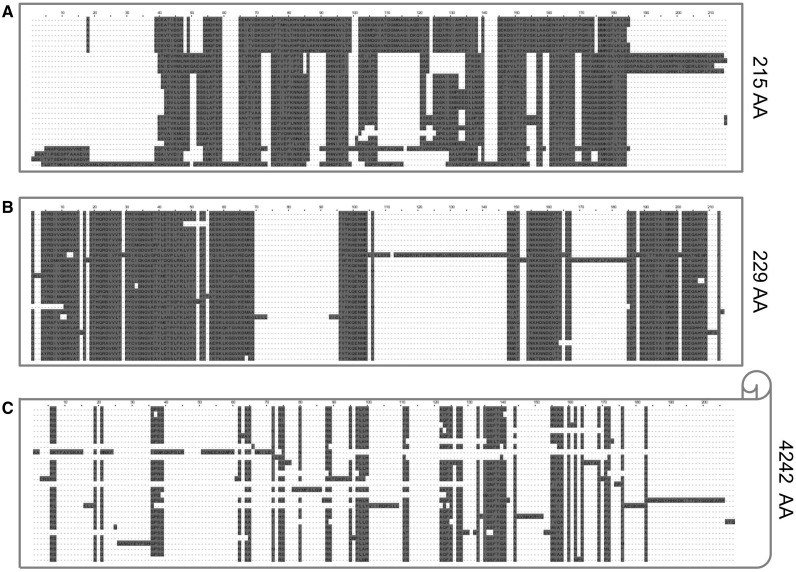 Fig. 5.—